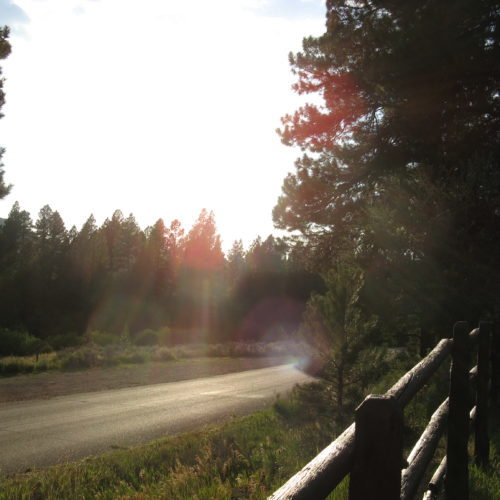 pine valley recreation area 0151 500x500 1